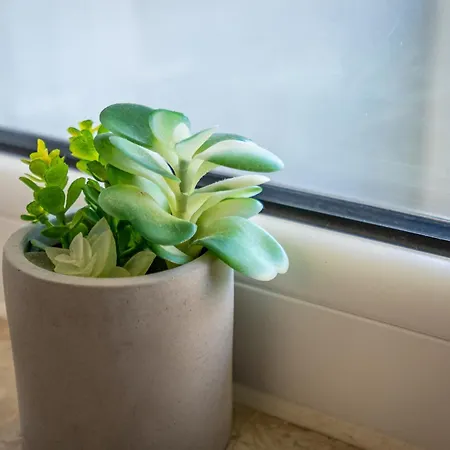 Torralta 204 Апартаменты Алвор